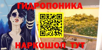 индика Будённовск