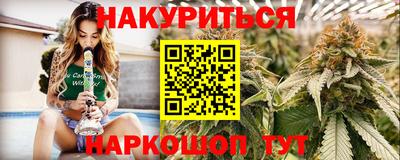 индика Будённовск